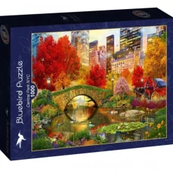 Puzzle Central Park NYC