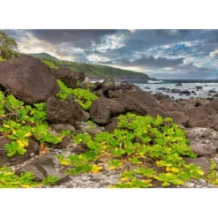 Puzzle Côte Sud, La Réunion, France