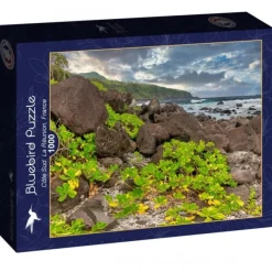 Puzzle Côte Sud, La Réunion, France