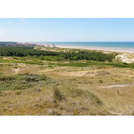 Puzzle Dunes d'Hardelot, Côte d'Opale, France
