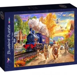 Puzzle Following The Train