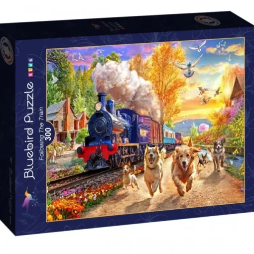 Puzzle Following The Train