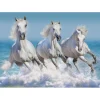 Puzzle Horse Paradise