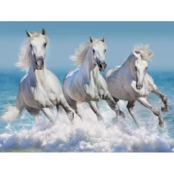 Puzzle Horse Paradise