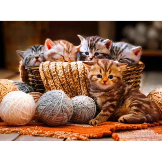 Puzzle Kittens in Basket