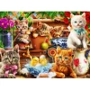 Puzzle Kittens in the Potting Shed