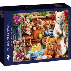 Puzzle Kittens in the Potting Shed