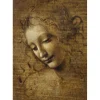 Puzzle Leonardo da Vinci - La Scapigliata, 1506-1508