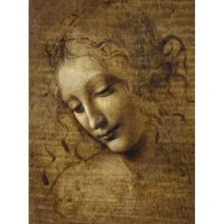 Puzzle Leonardo da Vinci - La Scapigliata, 1506-1508