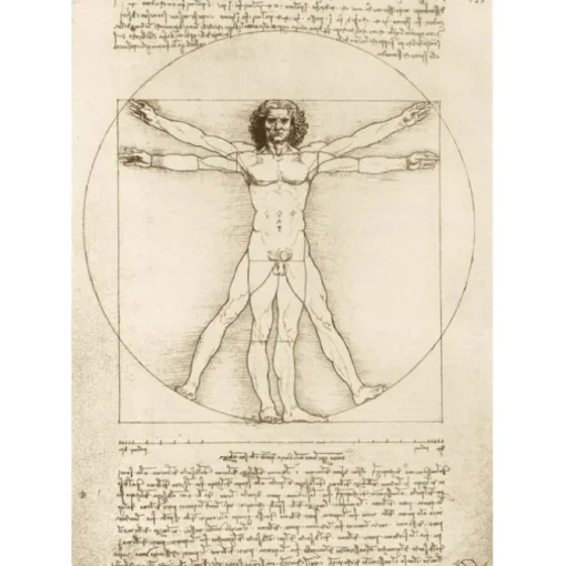 Puzzle Leonardo Da Vinci - The Vitruvian Man, 1490