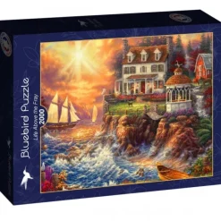 Puzzle Life Above the Fray