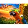 Puzzle Parrot