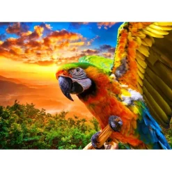 Puzzle Parrot