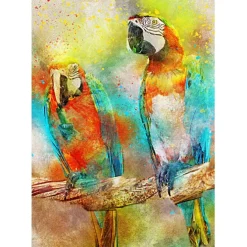 Puzzle Parrots