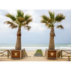 Puzzle Plage de Lacanau, France