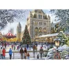 Puzzle Skating Outside Natural History Museum
