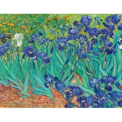 Puzzle Vincent Van Gogh - Irises, 1889